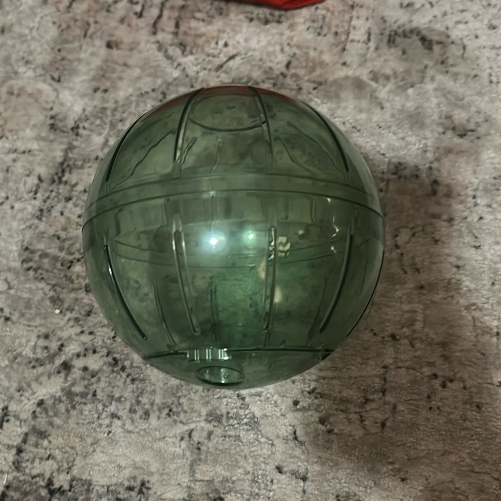 Hamster, gerbil, fancy rat ball